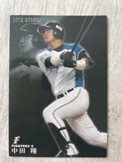 中田翔　日本ハムファイターズ