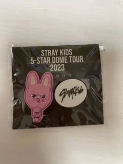 Stray Kids スキズ FCオンラインくじ　ラバークリップ　チャンビン