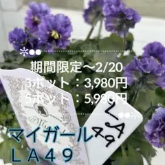 2026年最新】ビオラ・パンジー苗の人気アイテム - メルカリ