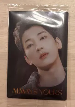 SEVENTEEN ウエハース　ウォヌ