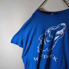 輸入古着　ギルダン　コットンTシャツ　ビッグロゴ　プリント　アニマル柄　Lサイズ