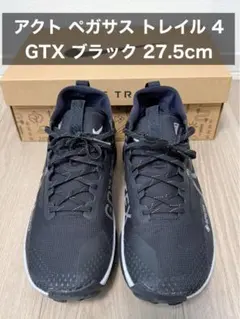 【美品】Nike Pegasus Trail 4 GTX ブラック 27.5cmのサムネイル