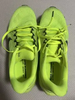 Nike Air Zoom ペガサス41 ボルト