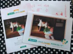 Item thumbnail for item 8f3d1c48-f30e-43c9-a3bd-3eb3c954c262