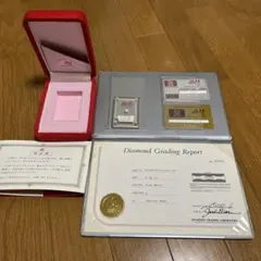 ET 'Red Heart' Diamond Shield 株分け 極美株 ET 'Red Heart' Diamond Shield 株分け 極美株 - メルカリ