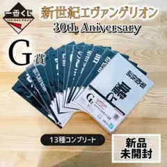 新世紀エヴァンゲリオン30周年一番くじ　G賞クリアファイル13種類コンプリート