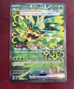 オーガポンみどりのめん　SAR 125/101