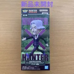 HUNTER×HUNTER ワールドコレクタブルフィギュア