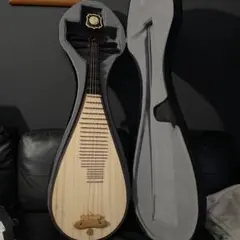 2025年最新】中国楽器 琵琶の人気アイテム - メルカリ