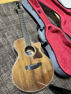 2026年最新】ibanez ハードケースの人気アイテム - メルカリ