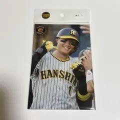2026年最新】森下翔太 タオルの人気アイテム - メルカリ
