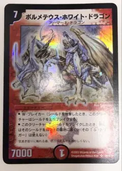 G*G様 ボルメテウスホワイトドラゴン 初期 2003 - メルカリ