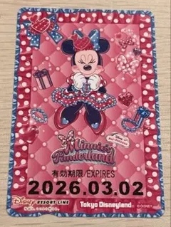 リゾートライン フリーきっぷ ミニー パルパルーザ 3/2印字