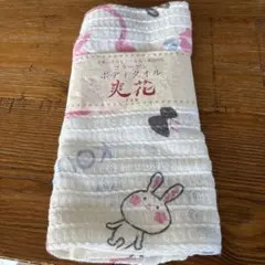 Item thumbnail for item c89d2b24-616a-4d5f-88dd-bf03eb7ed75e