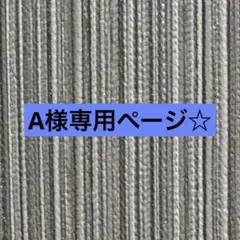 A様専用！！