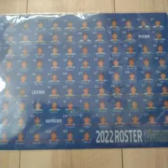 Item thumbnail for item 1f3f1422-d0d1-4600-b5ae-632b0a5ef326