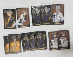 ツイステッドワンダーランド　ツイステ　ウエハースカード　サバナクロー寮