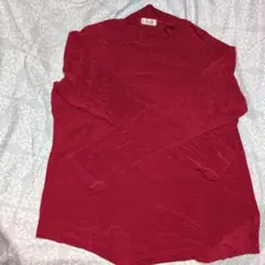 Anis レッドレディース ハイネック長袖 テロンテロン 生地光沢ありサイズF