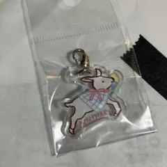 紙博 前売り入場特典アクリルチャーム