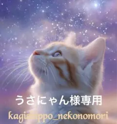うさにゃん様専用　ロイヤルカナン 減量ライトウェイトケア400g 2袋