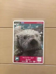 ロゲットカード マリンワールド海の中道(販売終了品)