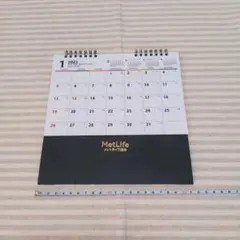 Item thumbnail for item 52114ff4-7ef9-407d-a5ff-477935b412d7