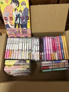 夏目イサク/ボーイズラブ,BL 、ファンブック 他31冊【バラ売り不可】
