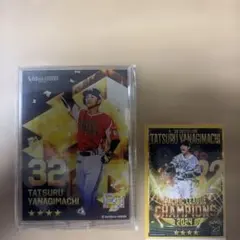 Item thumbnail for item aa454199-afc7-493f-bb42-274bf0301194