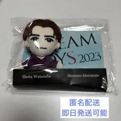 【匿名配送】DREAM BOYS 2023 ぬいぐるみマスコット 渡辺翔太
