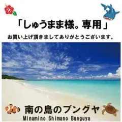 しゅうまま様。専用