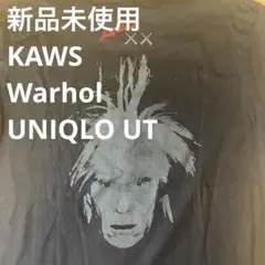 KAWS + Warhol + UNIQLO UT
