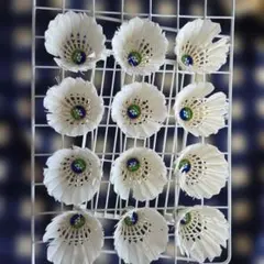 バドミントンノック球