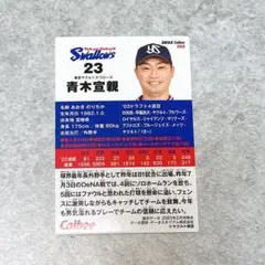 青木宣親選手 トレーディングカード　プロ野球チップス　ヤクルトスワローズ