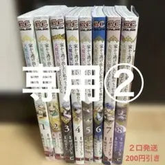 専用② 家から逃げ出したい私が、うっかり憧れの大魔法使い様を買ってしまったら