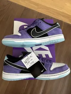 Hayley Wilson × Nike SB Dunk Low Pro