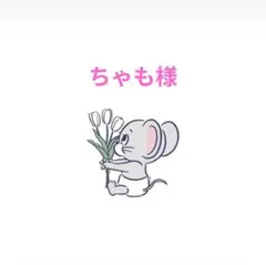 ちゃも様専用ページ