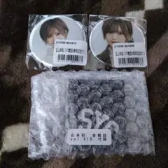 Item thumbnail for item 4f92e738-ce42-4adb-aac9-0b539dd95336