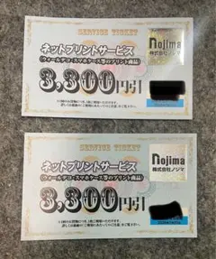ノジマ ネットプリントサービス券 3,300円引券2枚