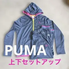❣️PUMAジャージ　ドライ上下セット フード付き グレー❣️