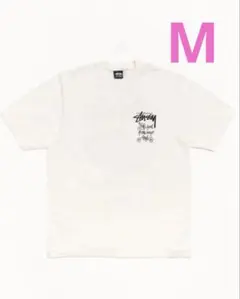 Stussy ANY ANGLE TEE PIGMT DYED NTYRAL/M