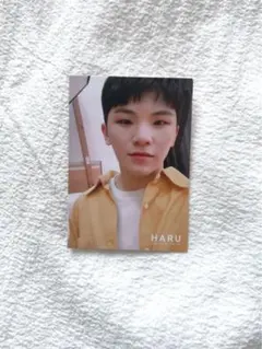 SEVENTEEN HARU ウジ トレカ