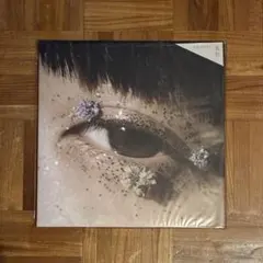 【カネコアヤノ／祝祭】LP 初回プレス クリア盤 新品未開封 付属品付きのサムネイル