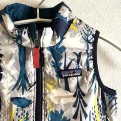 Patagoniaリバーシブルベスト80-90くらい
