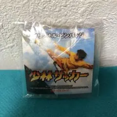 サッカー日本代表Kirin World Challenge 2002 ピンバッジ - メルカリ