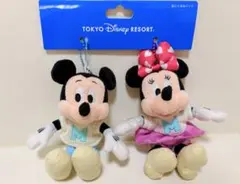 ディズニー ぬいぐるみバッジ ミッキー ミニー ペア タグ付 未使用 TDR