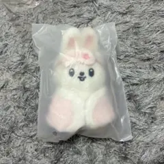 StrayKids SKZOO 10cm ぬいぐるみ ジニレット 未開封 - メルカリ