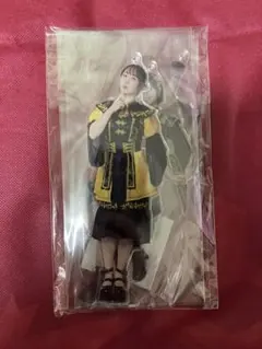 チームY アクリルスタンド