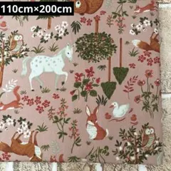 Item thumbnail for item 307009b1-dc67-430a-b68d-ca661b1d2f84