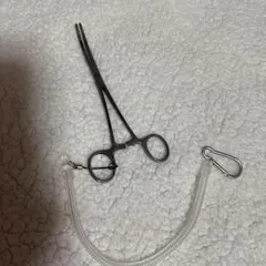 Item thumbnail for item 34b1d2e1-718e-4b8a-b031-47f52df6868b