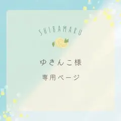 ゆきんこ様専用ページ2枚セット